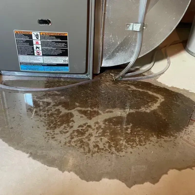 Appliance Leak Cleanup in Morris, IL